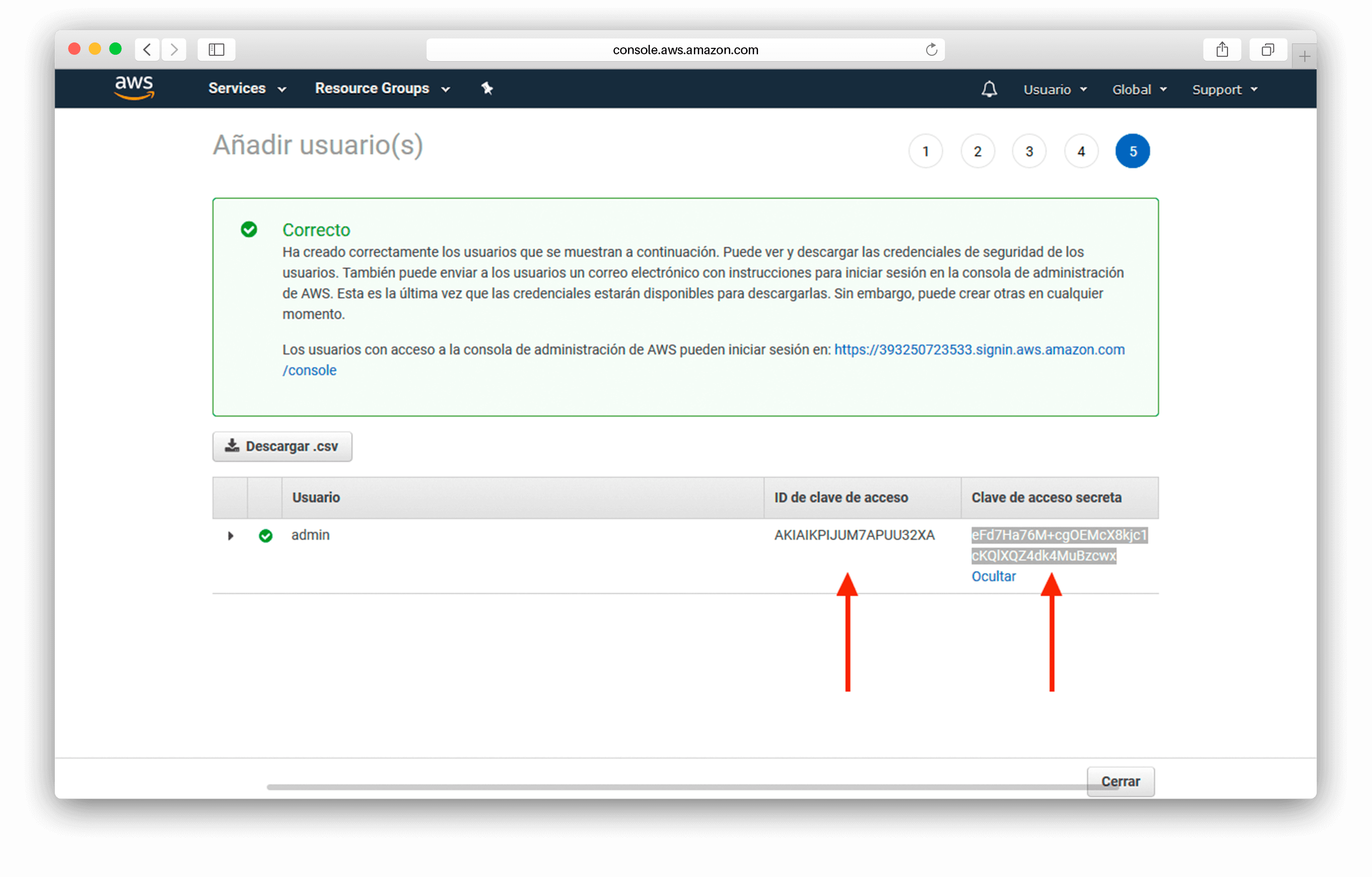 Caputura: credenciales para el usuario de IAM